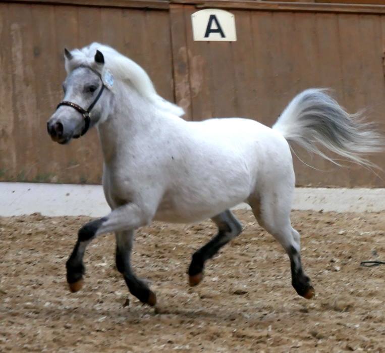 Euphoria van Stal Anja