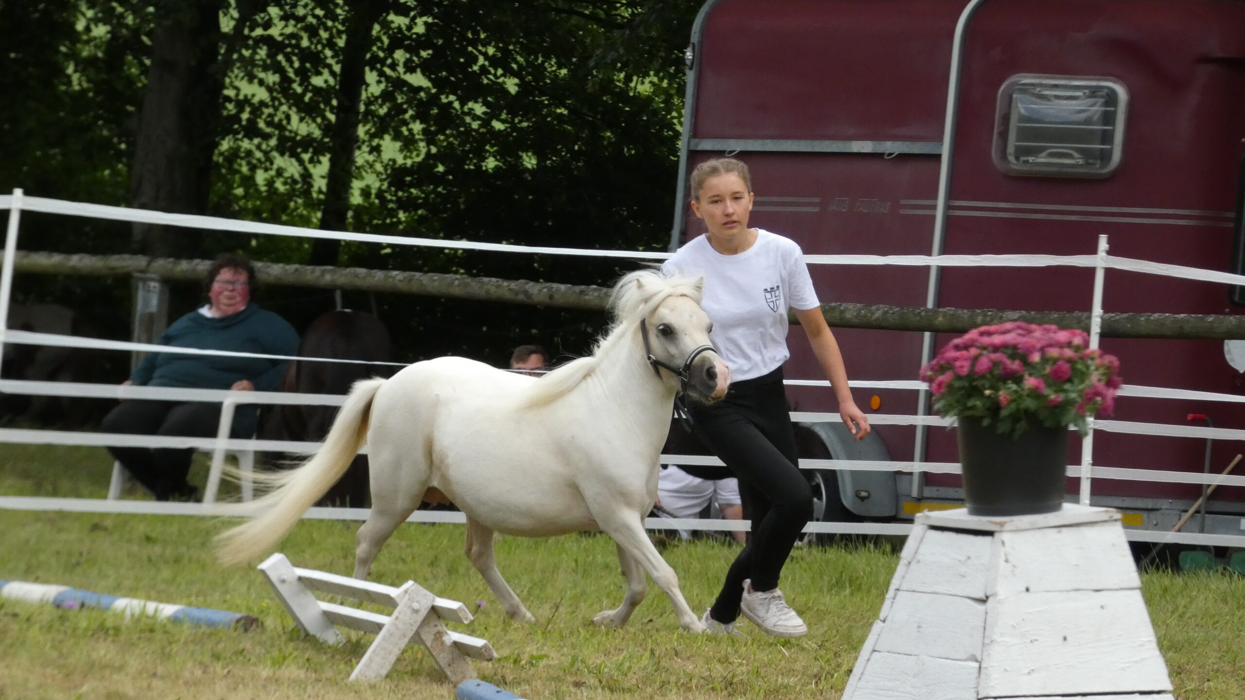 Nala van Stal van het Rijneveld