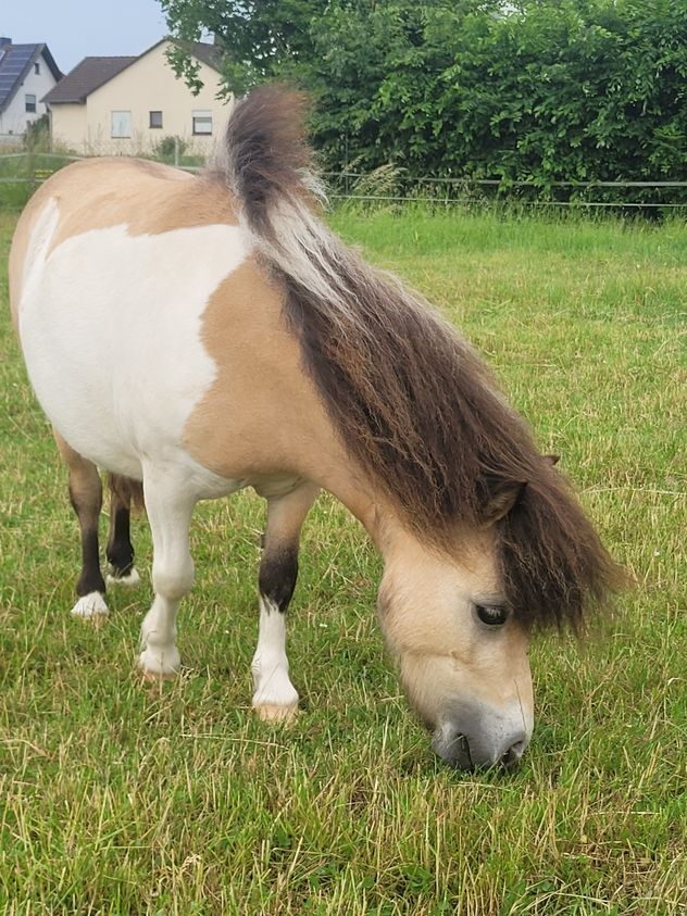 Fuhrmanns Schneewittchen